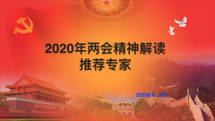 2020年两会精神解读专家
